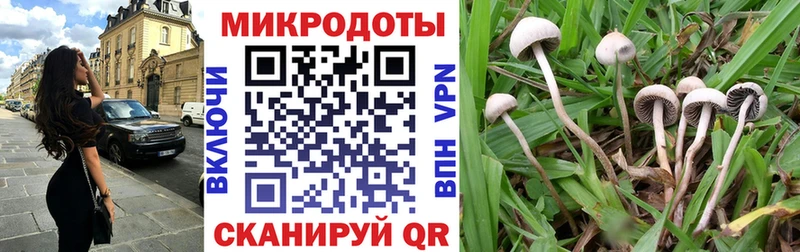 Псилоцибиновые грибы MAGIC MUSHROOMS Вытегра