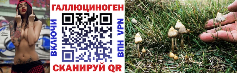 Псилоцибиновые грибы Psilocybe  мега онион  Вытегра 